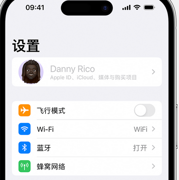 向阳街道appleID维修服务iPhone设置中Apple ID显示为灰色无法使用 