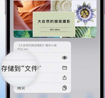 向阳街道apple维修中心分享iPhone文件应用中存储和找到下载文件