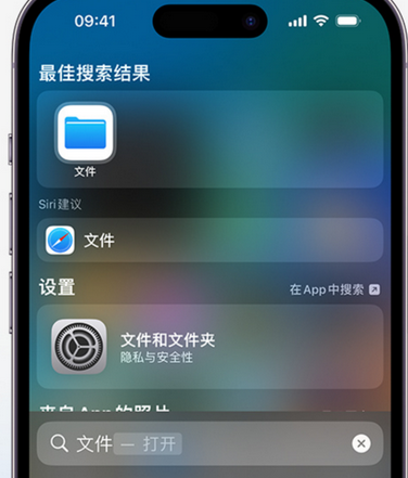 向阳街道apple维修中心分享iPhone文件应用中存储和找到下载文件