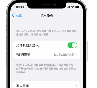 向阳街道apple服务站点分享iPhone上个人热点丢失了怎么办