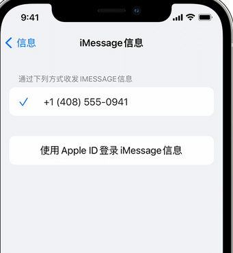 向阳街道apple维修iPhone上无法正常发送iMessage信息 