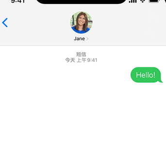 向阳街道apple维修iPhone上无法正常发送iMessage信息