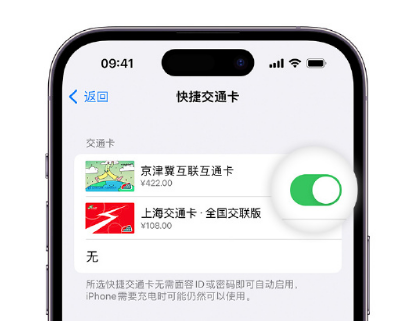 向阳街道apple维修点分享iPhone上更换Apple Pay快捷交通卡手绘卡面 