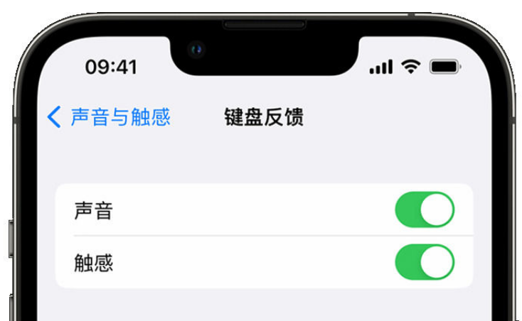 向阳街道苹果手机维修分享iPhone 14触感键盘使用方法 