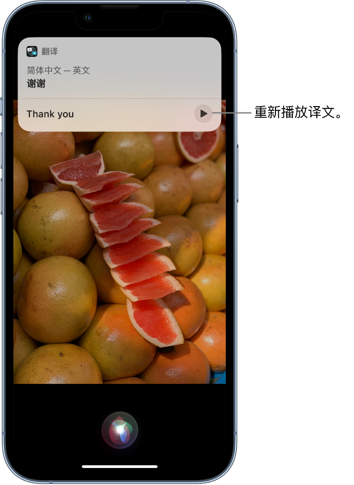 向阳街道苹果14维修分享 iPhone 14 机型中使用 Siri：了解 Siri 能帮你做什么 