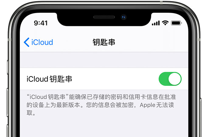 向阳街道苹果手机维修分享在 iPhone 上开启 iCloud 钥匙串之后会储存哪些信息 