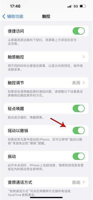 向阳街道苹果手机维修分享iPhone手机如何设置摇一摇删除文字 