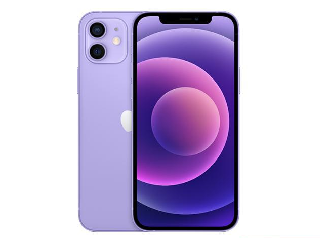 向阳街道苹果手机维修分享现阶段要不要入手紫色版iPhone12 
