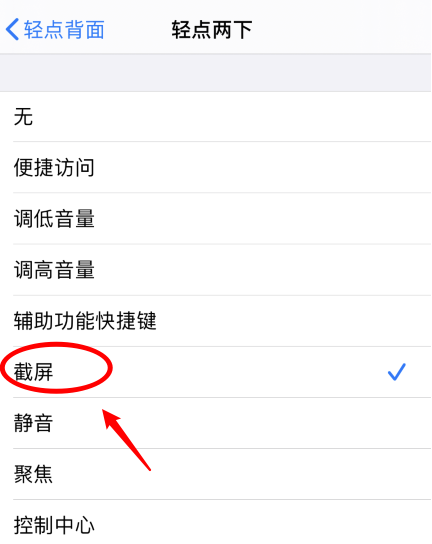 向阳街道苹果手机维修分享iPhone12如何启用双击截屏 